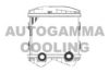 AUTOGAMMA 102409 Intercooler, charger